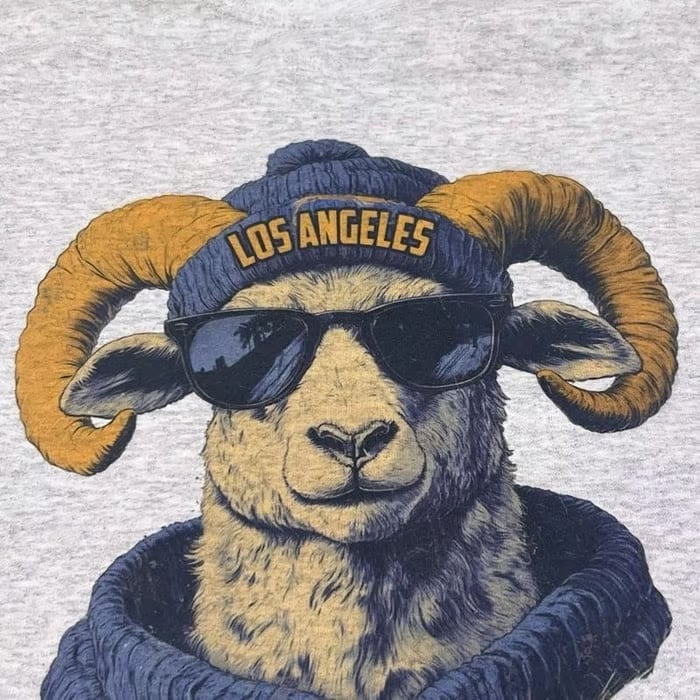 Spirit Animal Football Grafik-Sweatshirts - City Tier Sportpullover