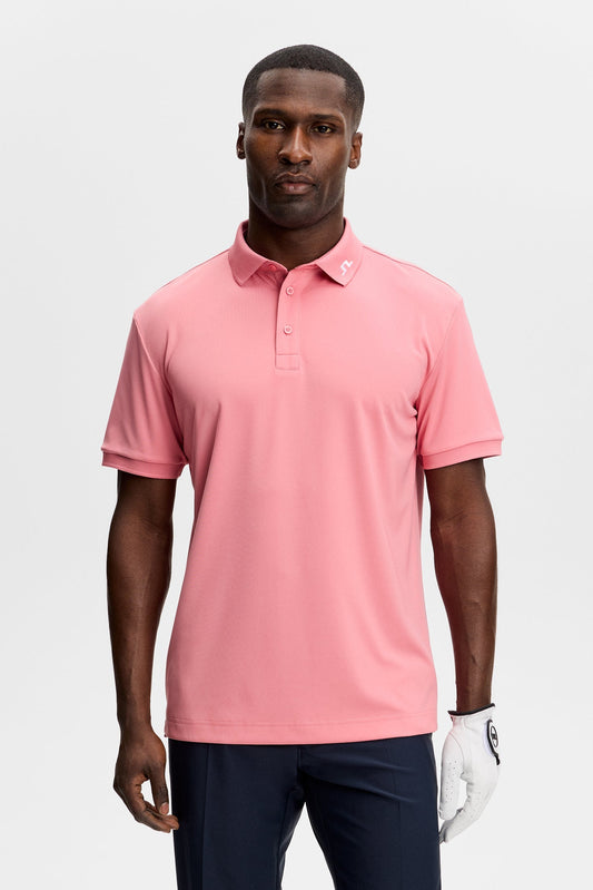 KV Polo / Flamingo Plume